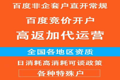 竞价SEM案例解析：电商行业营销策略